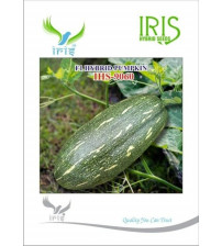 Pumpkin / Kaddoo F1 Iris IHS-9060 10 grams
